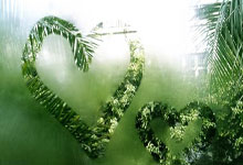 哪里能找到2019男篮世界杯回放完整版？这场赛事有哪些精彩瞬间值得回顾？