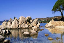 巴西队最新大名单有哪些亮点和争议？